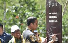 Rektor UGM: Wanagama Nusantara Dukung IKN sebagai Kota Hutan