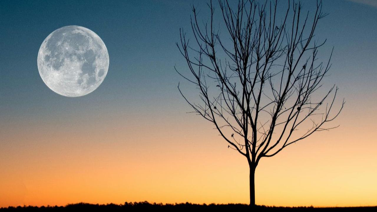 Nikmati Fenomena Indah Bulan Purnama Terakhir di 2024 "Cold Moon", Catat Tanggalnya