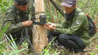 Kegiatan memasang kamera untuk konservasi orangutan Kalimantan (Foto: Fransisca Noni)