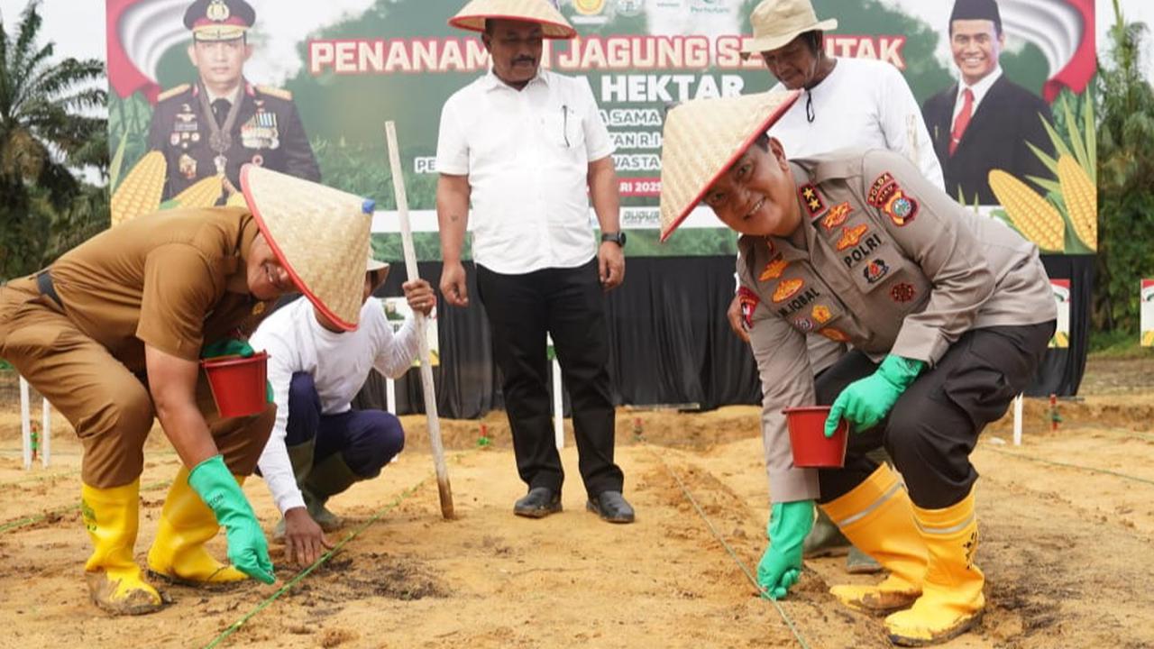 Momen Jenderal Polisi Bintang Dua Pakai Topi Petani, Pimpin Penanaman Jagung Serentak