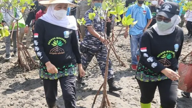 Khofifah bersama Wakil Ketua DPRD Jatim Anik Maslachah kompak dalam giat nandur mangrove di Pantai Bohay Probolinggo. (Istimewa).