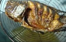 Bukan Pakai Jahe, Ini Trik Goreng Ikan Biar Bebas dari Bau Amis