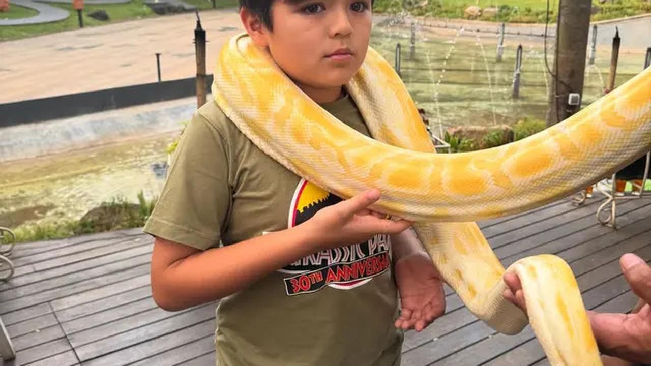Foto-Foto Jessica Iskandar dan Vincent Verhaag Ajak Anak ke Kebun Binatang, Sederhana Tapi Bikin Bahagia