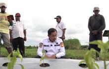 Pemkot Jayapura Gandeng Unhas, Perkuat Ketahanan Pangan Daerah Lewat Pertanian dan Perikanan