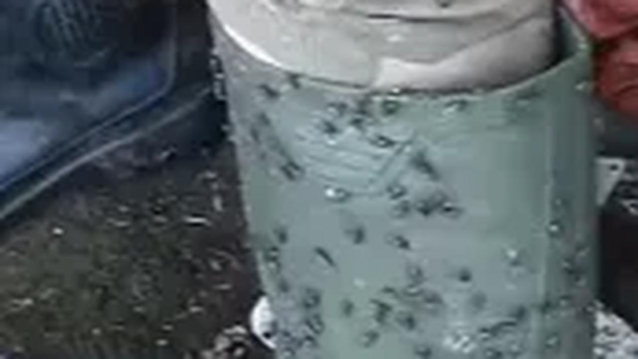 Bahkan lalat juga hinggap di orang-orang yang ada di warung. Termasuk di penjual warung.