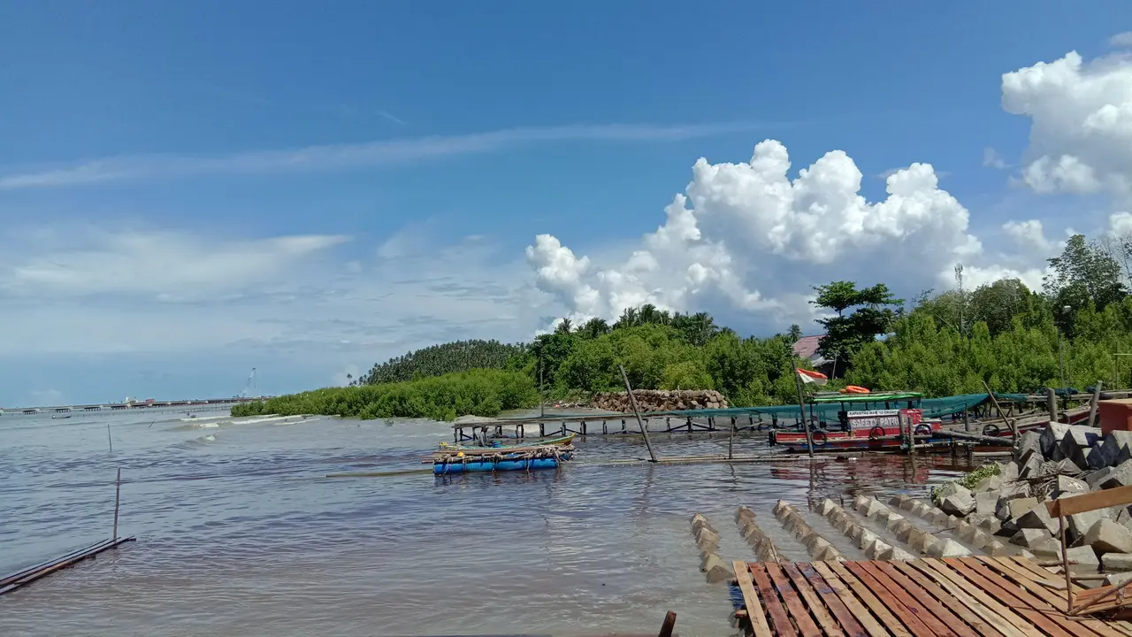Hamparan Hutan Mangrove di Sungai Limau, Sungai Kunyit, Mempawah, Kalbar. (Liputan6.com/Aceng Mukaram)