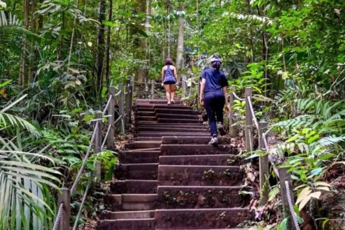 Bukit Timah di Singapura, salah satu spot hiking warga lokal dan turis.