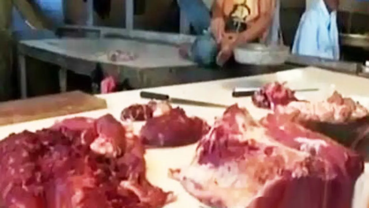 Harga Daging Mulai Turun