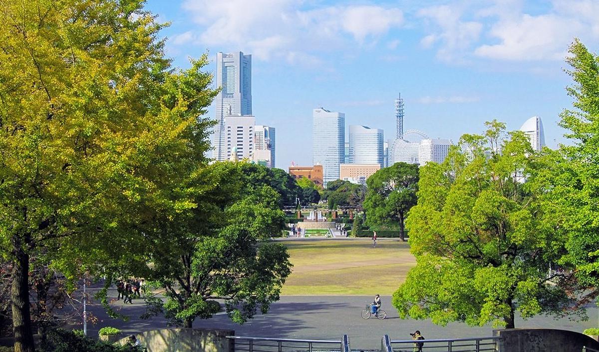 8. Anda juga bisa piknik bersama keluarga atau pasangan di lapangan rumput Yamashita Park.