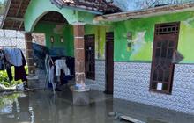 Banjir Rob Rembang Terjang Tiga Desa Pesisir, Puluhan Rumah Terdampak