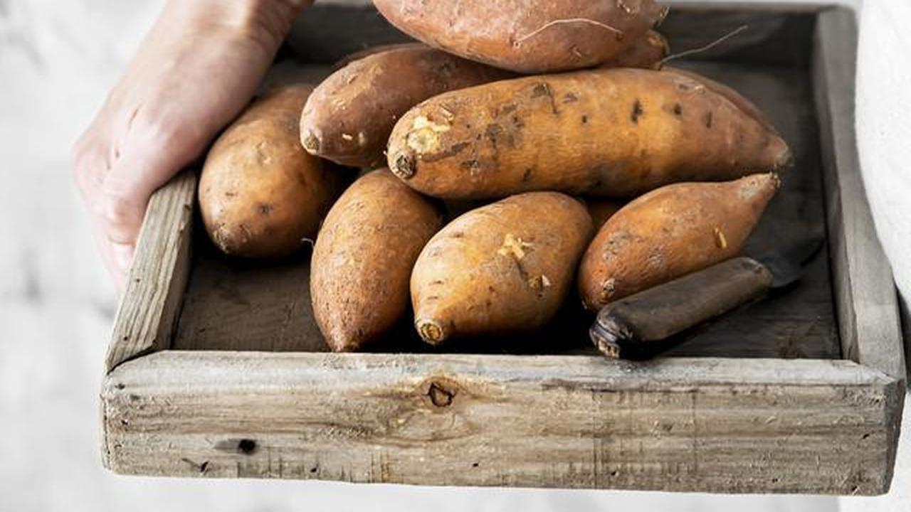 7 Sayuran yang Bisa Ditanam dari Sisa Dapur, Tanpa Perlu Halaman Luas