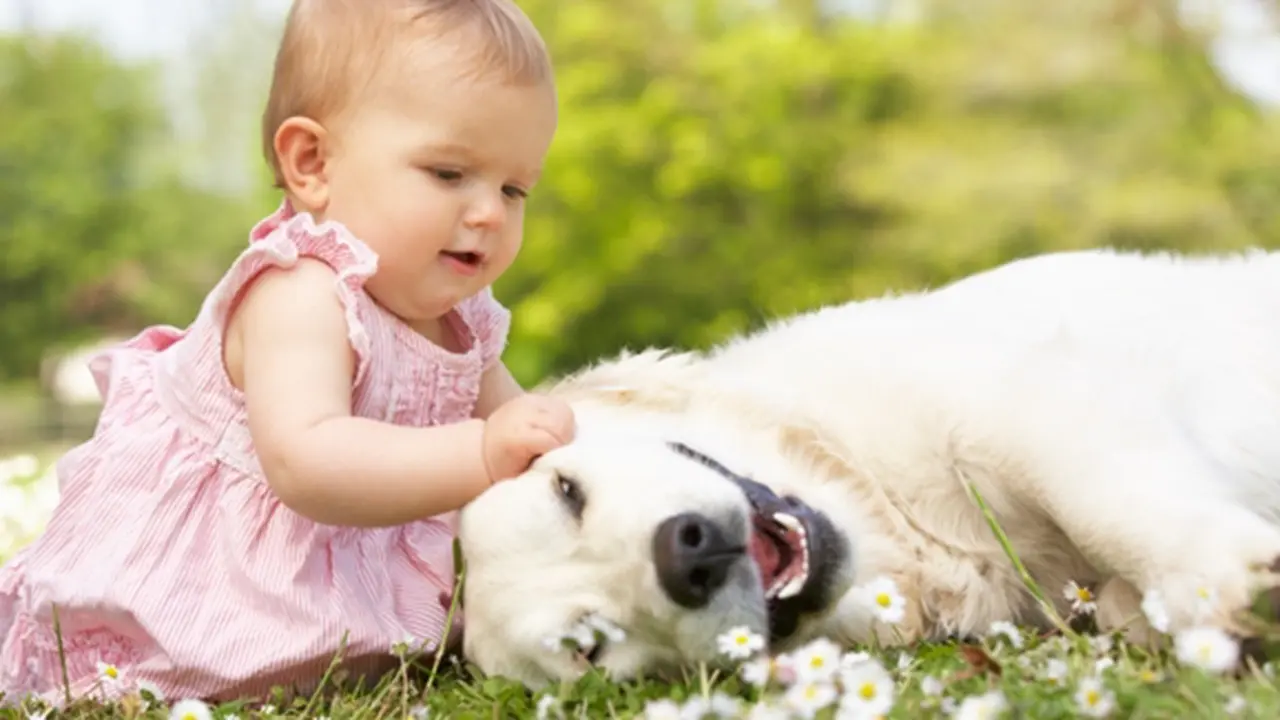 Copyright by Thinkstock.com