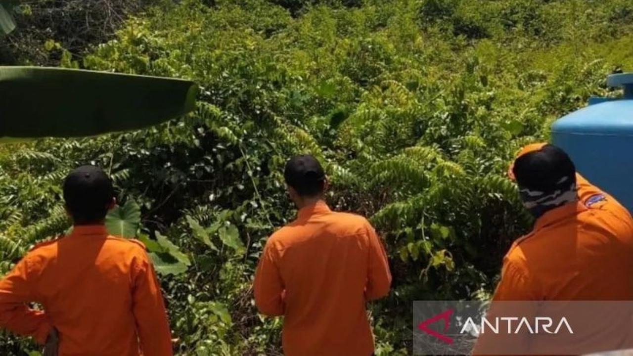 Meski Hujan Deras Melanda, Status Siaga Karhutla Banjarmasin Diperpanjang Hingga Akhir Agustus 2025: Ini Alasannya!