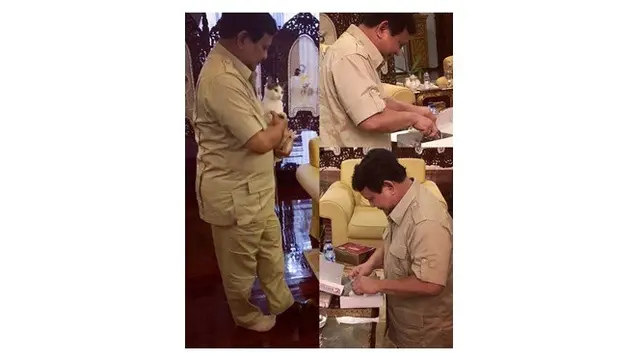 Potret Kedekatan Antara Prabowo dengan Bobby Si Kucing Kesayangan