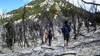 Gunung Papandayan, Garut. | via: bagusrosyid.com