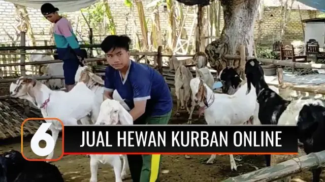 Sepekan jelang Hari Raya Idul Adha, sejumlah pasar hewan kurban di Jawa Timur, tampak sepi, karena berkurangnya pembeli akibat larangan kerumunan di tengah masa PPKM Darurat. Kini pedagang beralih menjual hewan kurban secara daring melalui media sosi...