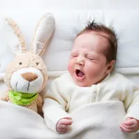 Ilustrasi/copyrightshutterstock/FamVeld