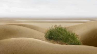 Obrolan Intim Rambut Kemaluan Keriting Kenapa Lifestyle Fimela Com