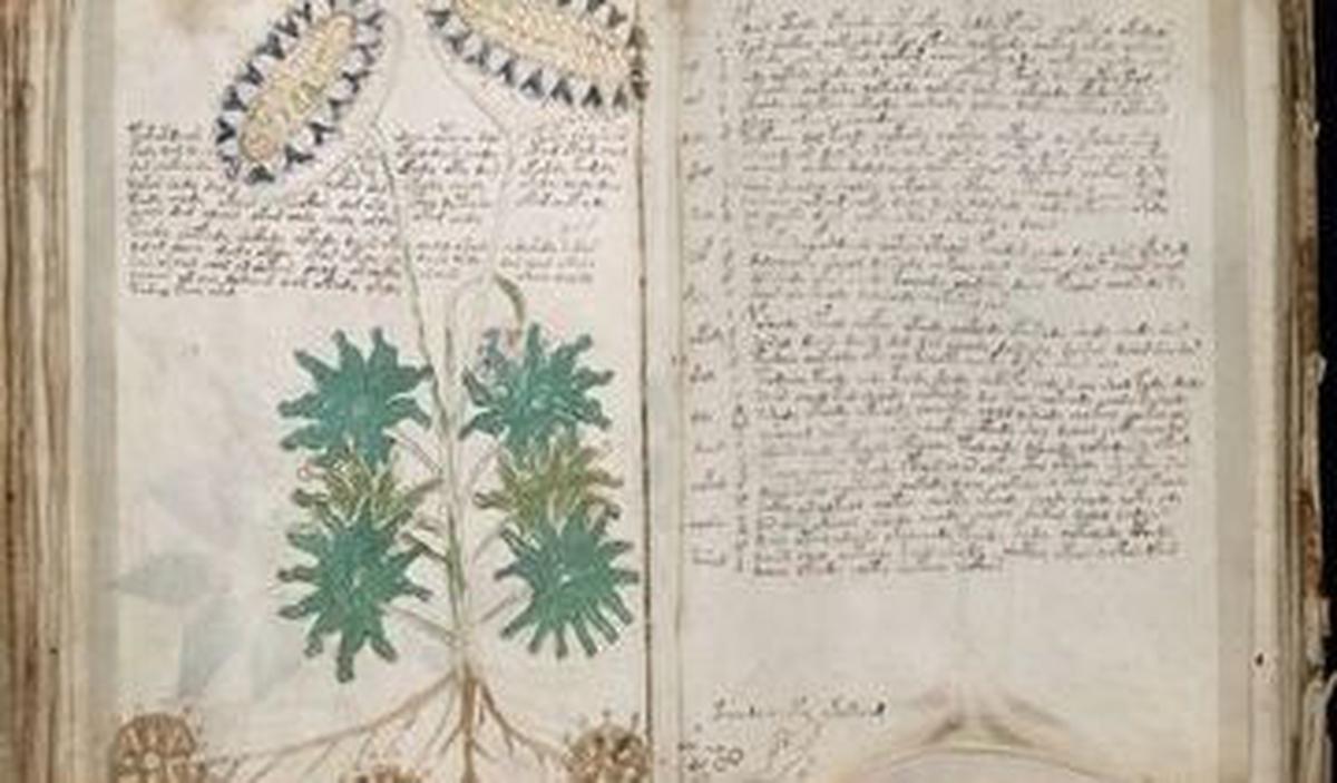 1. Manuskrip Voynich