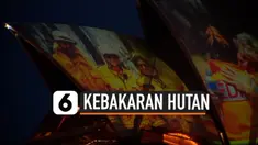 vertical kebakaran hutan