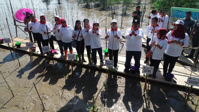 Sumsel Ditunjuk Jadi Lokasi Penanaman Mangrove Nasional
