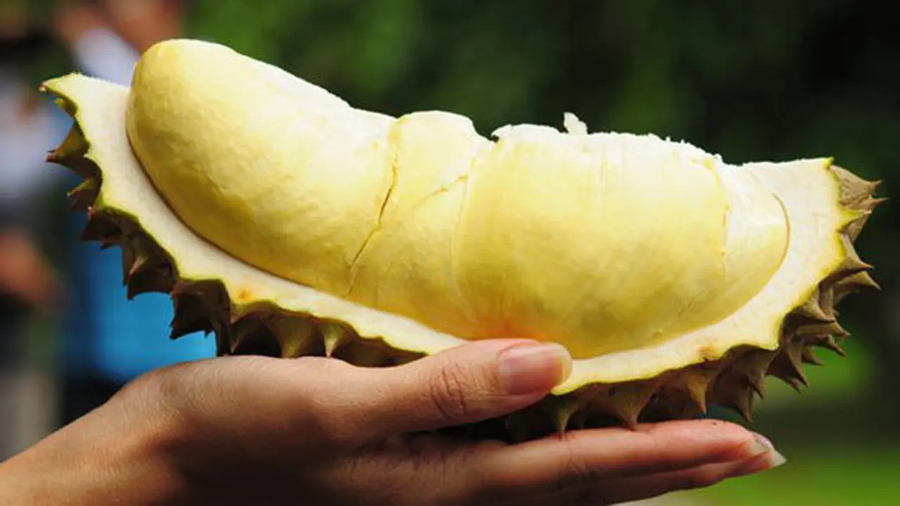 Ilustrasi durian./Copyright shutterstock.com