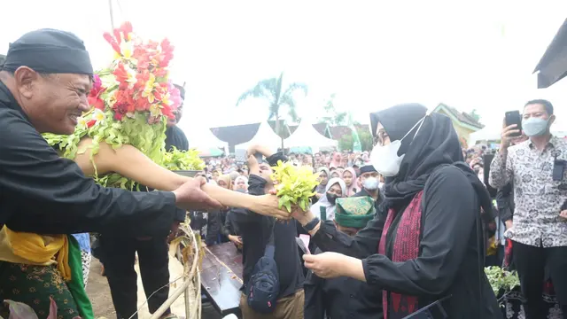 Bupati Banyuwangi Ipuk Fiestianadani terima kembang lukinto dalam ritaul adat seblang Olehsari Banyuwangi (Istimewa)