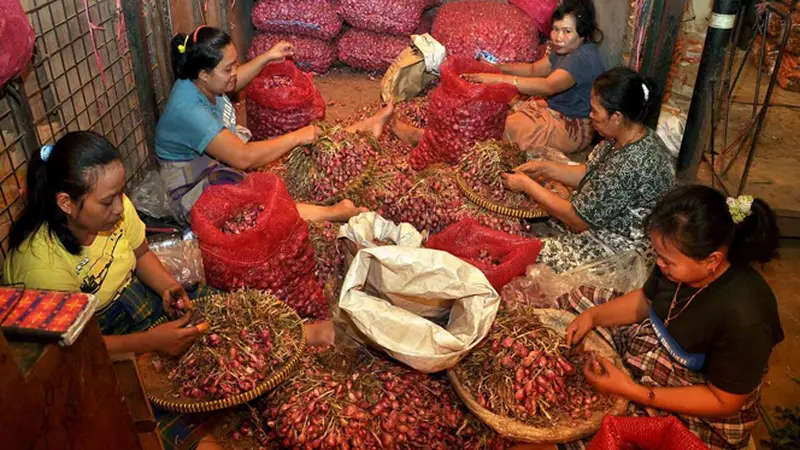 Bawang Merah