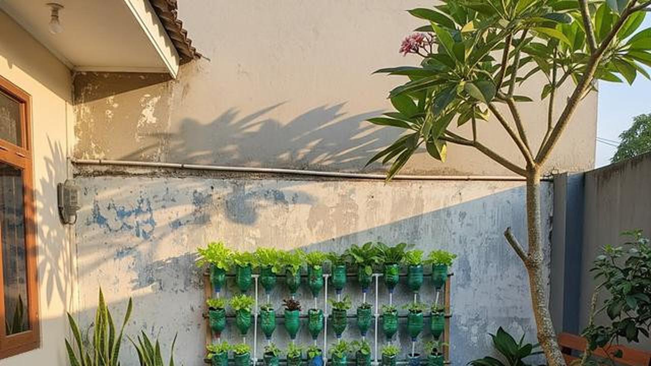 9 Ide Kebun Sayur Hemat Biaya di Kontrakan Sepetak, Panen Segar Lahan Terbatas