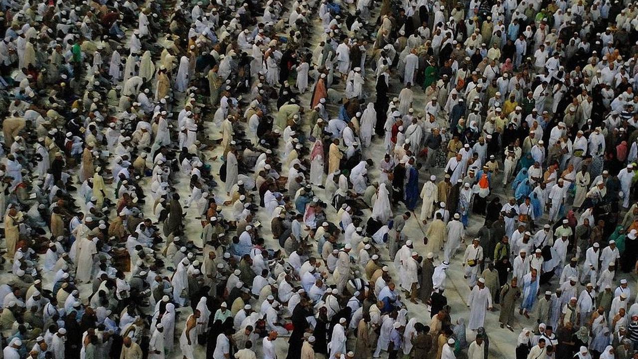 Pada musim haji tahun 2023/1444 Hijriah, Magetan mendapatkan jatah sebanyak 533 kuota

"Alhamdulillah bisa berangkat semua," pungkas Imam.