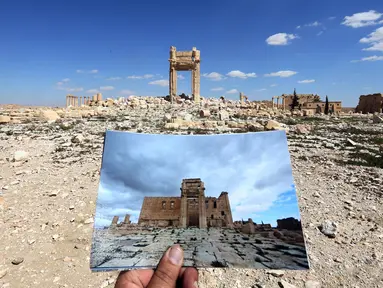Seorang fotografer memegang foto Temple of Bel yang diambil pada tanggal 14 Maret 2014 di depan sisa-sisa kuil bersejarah setelah dihancurkan oleh ISIS pada September 2015 di kota kuno Palmyra, Suriah, 31 Maret 2016. (Joseph EID/AFP)