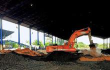 10 Juta Ton Biomassa Buka 150 Ribu Lapangan Kerja Hijau Baru