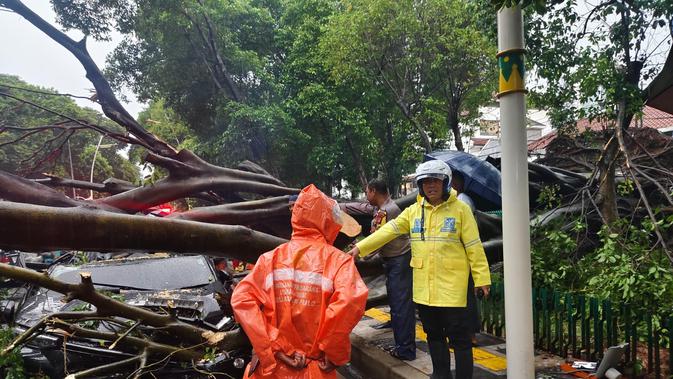 Penampakan 5 Mobil yang Tertimpa Pohon Besar di Dharmawangsa hingga Tewaskan 1 Orang