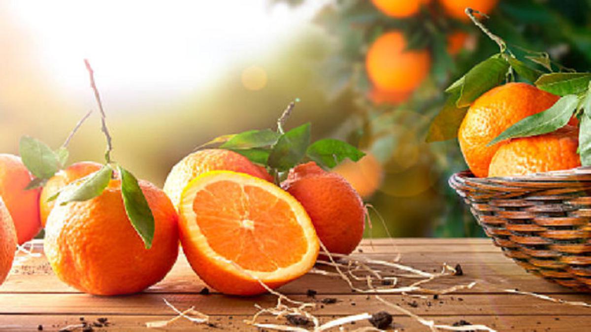 Mengonsumsi Jeruk Bagus untuk Kesehatan Mata, Ini Alasannya