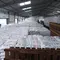 Pupuk Indonesia Ekspor 47.250 Ton Urea ke Australia
