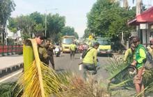 Usai Viral Dugaan Asusila, Pemprov DKI Tambah Lampu Sorot di Hutan Kota Cawang