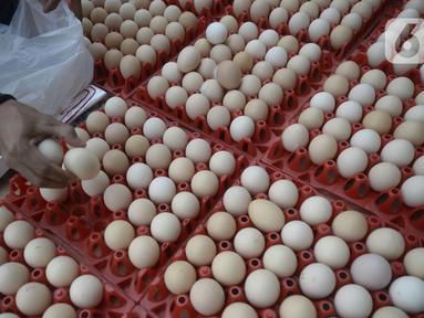 Terkini harga telur ayam Harga Telur