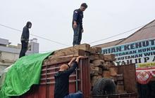 Penindakan Kayu Ilegal Sulteng: Kementerian Kehutanan Siap Sidangkan Pelaku di Donggala