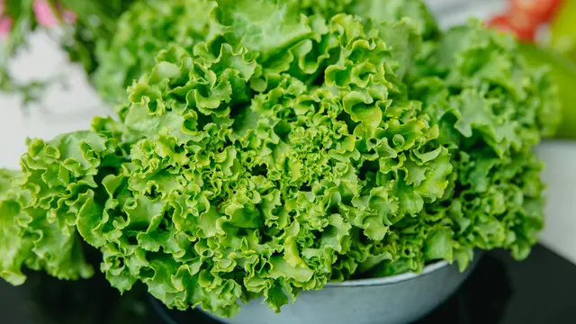 10 Jenis Sayuran yang Aman Dikonsumsi Penderita Asam Urat