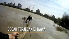 Polisi melakukan usaha penyelamatan terhadap bocah laki-laki yang terjebak dalam rawa-rawa