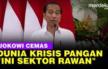 VIDEO: Jokowi Cemaskan Kerawanan Pangan, Banyak Negara Dunia Telah Alami Krisis