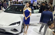 Menebak Mobil Baru BYD di IIMS 2025, Ada Versi Murah?