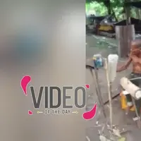 Kakek Kreatif Ini Main Drum dengan Bahan-bahan Daur Ulang 