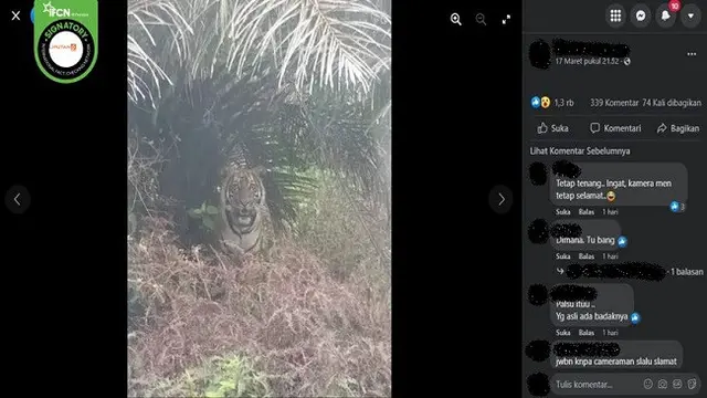 Gambar Tangkapan Layar Foto yang Diklaim Harimau Berkeliaran di Perawang, Kabupaten Siak, Riau (sumber: Facebook).