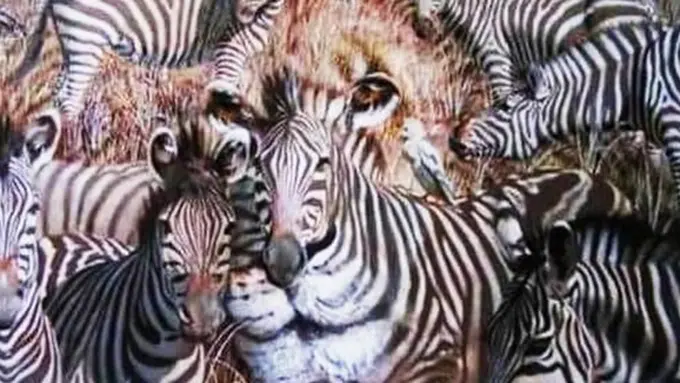 Hewan pertama ungkap kepribadian/copyright themindsjournal.com