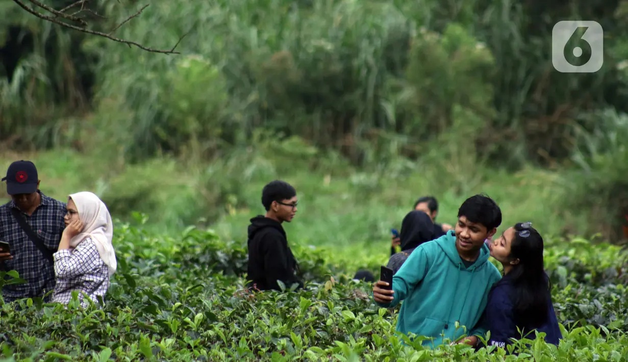 Muda mudi berfoto di Perkebunan Kebun Teh kawasan Puncak, Kabupaten Bogor, Jawa Barat, Minggu (31/5/2020). Meski Pemkab Bogor memperpanjang masa Pembatasan Sosial Berskala Besar (PSBB) hingga 4 Juni namun wisatawan tetap memadati kawasan wisata kebun teh. (Liputan6.com/Helmi Fithriansyah)