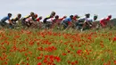 Rombongan pembalap melintasi perkebunan pada etape ke-10 Tour Balap Sepeda Giro d'Italia 2021 antara l'Aquila dan Foligno sejauh 139 km, Senin (17/5/2021). (AFP/Luca Bettini)