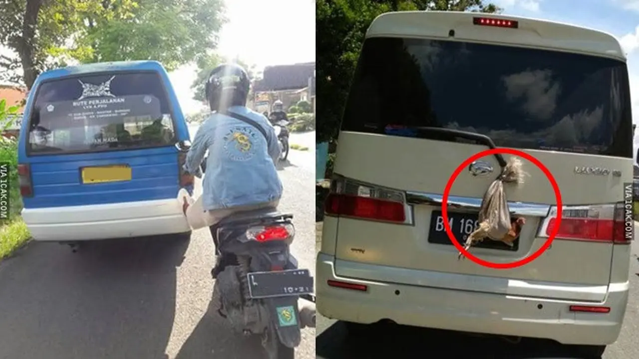 6 Kelakuan Nyeleneh saat Mengendarai Mobil Ini Bikin Tepuk Jidat