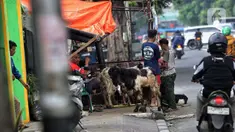 Pedagang hewan kurban memenuhi ruas pedestrian atau trotoar di salah satu jalan di Jakarta, Rabu (4/6/2025). (Liputan6.com/Angga Yuniar)
