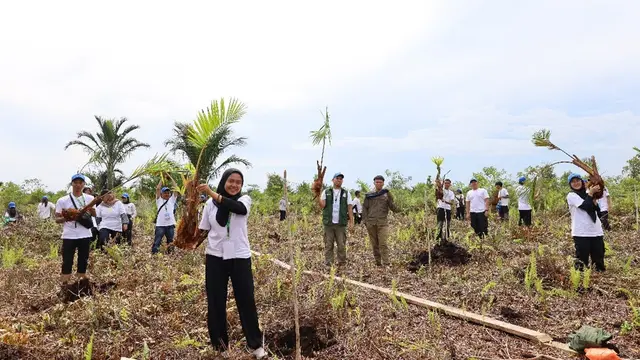 Restorasi Gambut Seluas 1,6 Juta Hektar dan Rehabilitasi Mangrove 84.396 Hektar